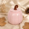 Quemador Calabaza Rosa 🍂